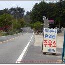 무창포주유소 이미지
