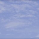 슬로우스텝 | 청주아르떼웨딩컨벤션 웨딩본식DVD 슬로우스텝(Slow step) 계약후기