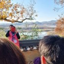 전라남도종가회곡성지부