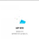 오늘의닭 이미지