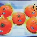 감귤향기힐링파크 이미지