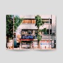 요시 이미지