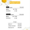 비디오하우스 이미지