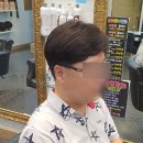 김호증모가발by헤어리서치 이미지