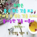 인셀덤 광주