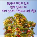 또우리 이미지