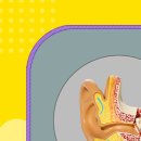 반석이비인후과의원 이미지