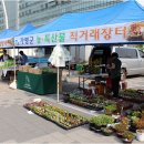성남시청 이미지