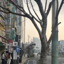 고하상로21스테이 | 2026-02| 제주도 여행 3박4일 일정 + 맛집 공유