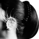 블랙핑크 [DEADLINE] CONCEPT TEASER 이미지