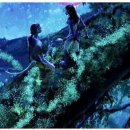 판도라의 숲 이미지