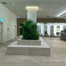 시그널짐 플레티넘 이미지