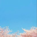 피트인365 이미지