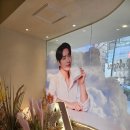 디어엔젤 이미지