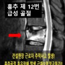 장원행정사사무소 이미지