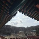 [화운사, 템플스테이] 쉼과 여유가 있는 곳, 내돈내산 솔직후기