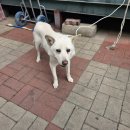 서신동물병원 이미지