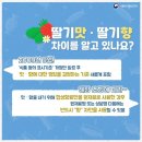 LH행복꿈터 광교마을지역아동센터 | 250813) 🍭달콤하다고 다 좋은 건 아니에요! 바나나우유 실습