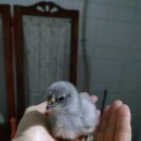 잔듸민박 이미지