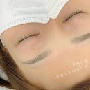 헤일로디자인