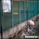 이명근 농장 이미지