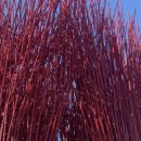 돌개구멍 화장실 이미지