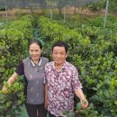 정아농장 이미지