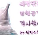 달이 떠올라 이미지