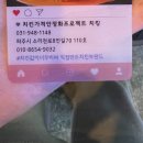 프로젝트준 이미지