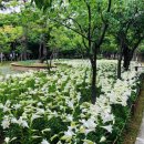서구청소년수련관(6) 이미지
