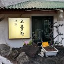 제주도 아이와 엄마랑 둘이서 제주도 일주일 여행 후기 [아르떼 뮤지엄, 수목원길 야시장] 초등아이와...