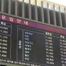 부산중앙중학교 | ⚽️) 김천상무 오픈 트레이닝 후기