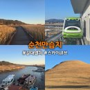 갈대습지공앞앞 | [전남] 순천여행_ 순천만습지_순천만국가정원 갈대열차 스카이큐브