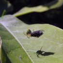 아주특별한여행 이미지