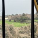 동복목장 이미지