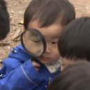 숲속어린이집 이미지