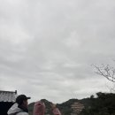 대만 가족여행 진과스 황금박물관 버스투어