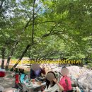 사지목나무그늘 | 사지목 빛생명숲캠핑장(구.나무그늘캠핑장)