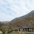 진도 운림산방 티스토리