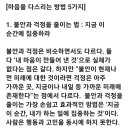 마음을 다스리는 방법 5가지 이미지