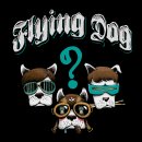 하드락 밴드 Flying Dog에서 보컬 구해요 이미지