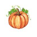 강화남부농업협동조합 이미지