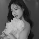 소유필름 - 안성시 벚꽃길 36 | 소유필름