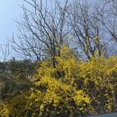 신반포역 1번출구 뒤 | (인왕산 등산) 경복궁역 1번출구 출발> 창의문 코스 후기