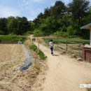 서봉산산림욕장 이미지