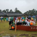 온평리-8 이미지