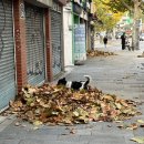 풍년세차장 | 25년 12월