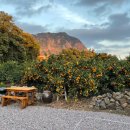 월영사계 이미지