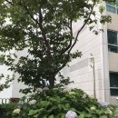 경남정보대부속유치원 이미지