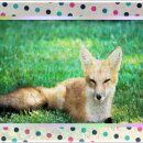 인정덕치 이미지